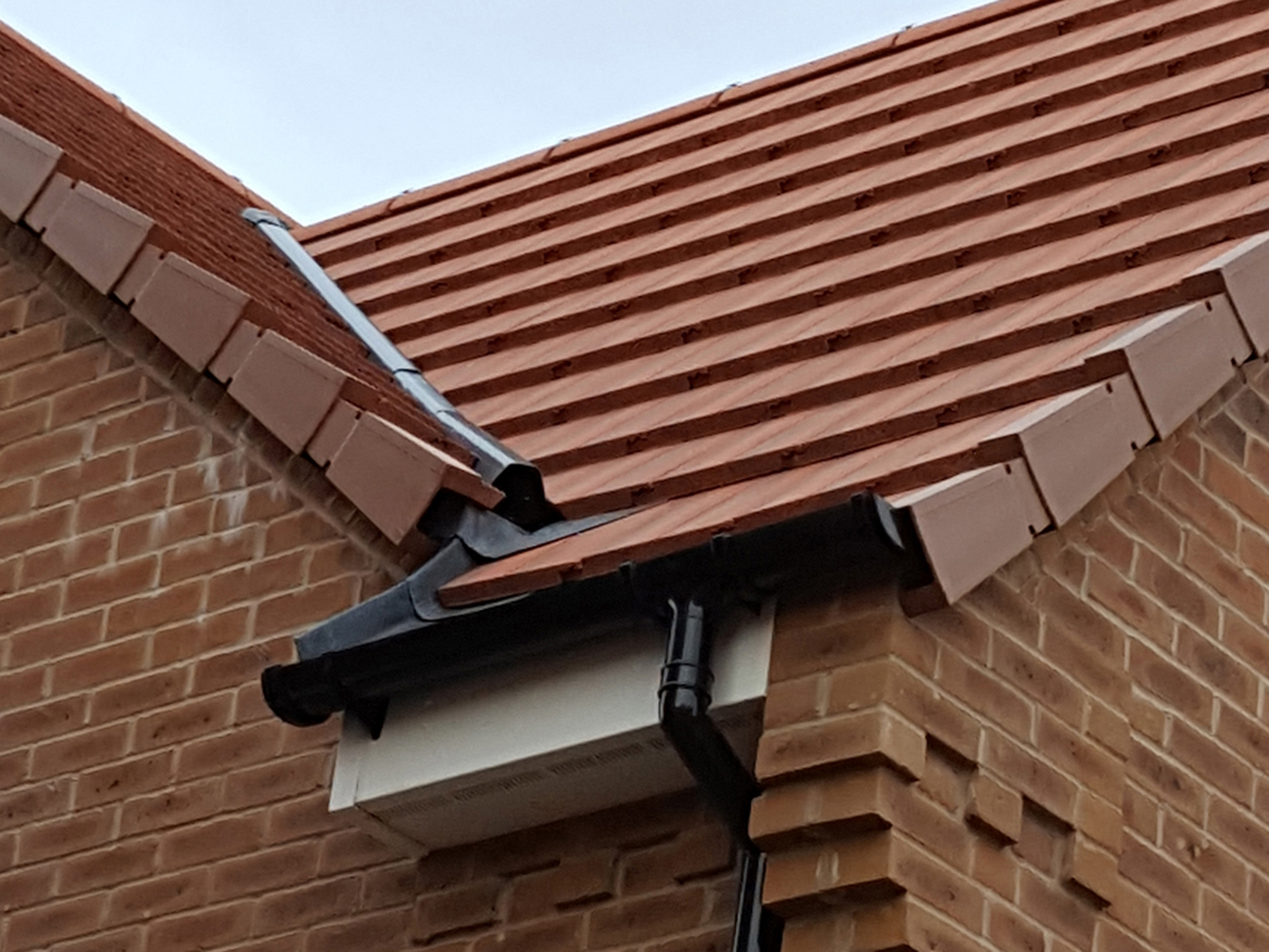 Fascias